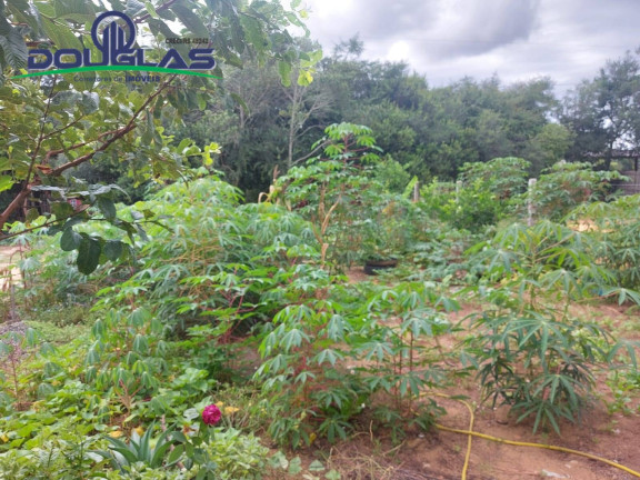 Imagem Casa à Venda, 530 m² em Viamão