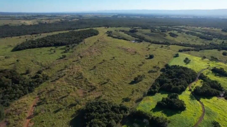 Imagem Fazenda à Venda, 2.114 m² em Jangada Imagem Fazenda à Venda, 2.114 m² em Jangada