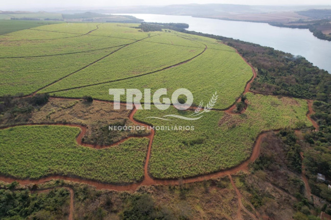 Imagem Fazenda à Venda, 56 m² em Zona Rural - Igarapava