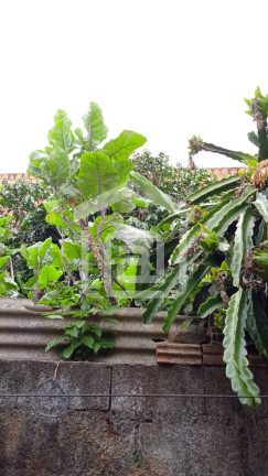 Imagem Casa com 3 Quartos à Venda, 200 m² em Jardim Eldorado - Botelhos Imagem Casa com 3 Quartos à Venda, 200 m² em Jardim Eldorado - Botelhos