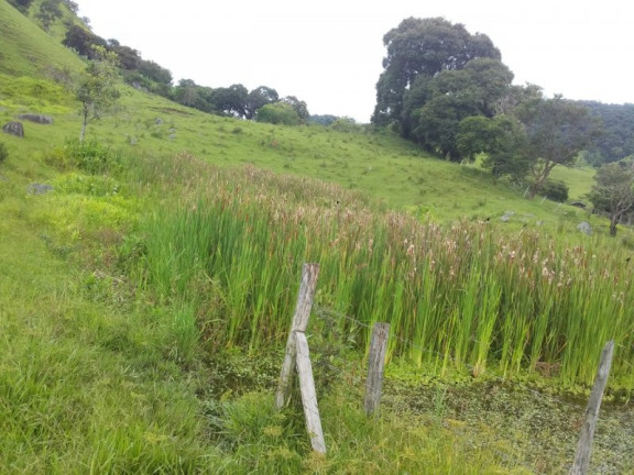 Imagem Imóvel à Venda, 237 m² em Bairro Rosas - Gonçalves Imagem Imóvel à Venda, 237 m² em Bairro Rosas - Gonçalves