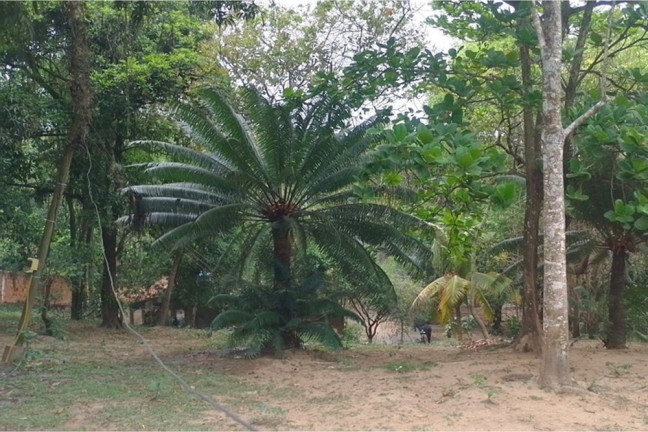 Imagem Imóvel com 3 Quartos à Venda, 11.305 m² em Campo Grande - Rio De Janeiro Imagem Imóvel com 3 Quartos à Venda, 11.305 m² em Campo Grande - Rio De Janeiro