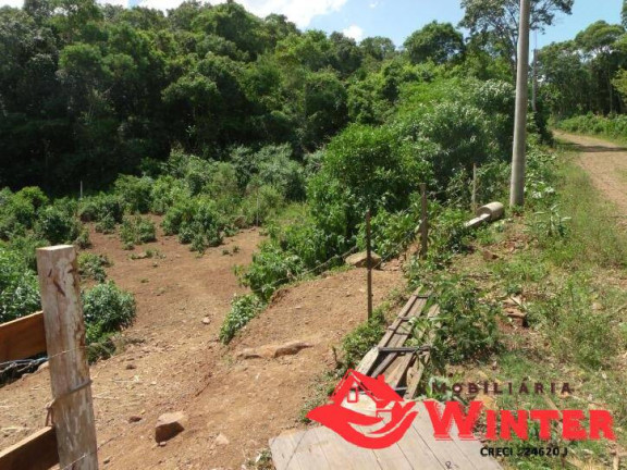 Imagem Terreno à Venda, 600 m² em Vila Nova - Vale Real Imagem Terreno à Venda, 600 m² em Vila Nova - Vale Real