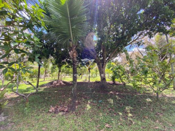 Imagem Imóvel com 2 Quartos à Venda, 200 m² em Br 367 - Santa Cruz Cabrália