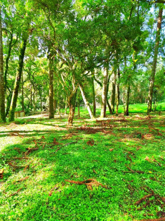 Imagem Chácara com 1 Quarto à Venda, 6.050 m² em Jardim Bela Vista - Balsa Nova