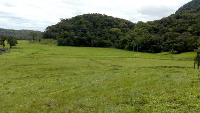 Imagem Fazenda à Venda, 90 m² em Braço Grande - Miracatu Imagem Fazenda à Venda, 90 m² em Braço Grande - Miracatu