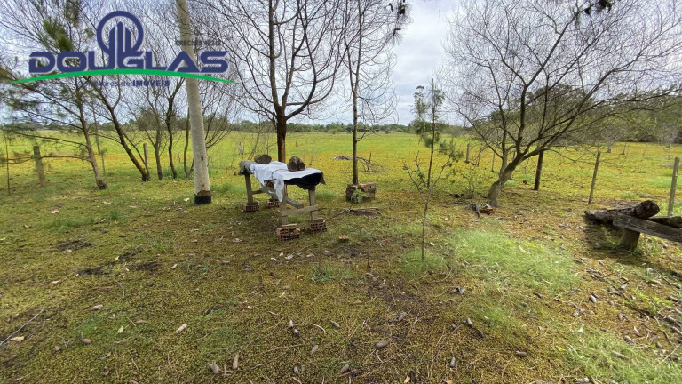 Imagem Chácara com 1 Quarto à Venda,  em águas Claras - Viamão