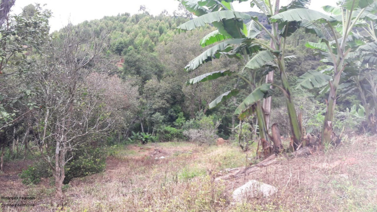 Imagem Imóvel com 3 Quartos à Venda, 140 m² em Laranjeiras De Caldas - Caldas Imagem Imóvel com 3 Quartos à Venda, 140 m² em Laranjeiras De Caldas - Caldas