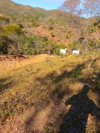 Imagem Fazenda à Venda, 12 m² em Zona Rural - Padre Bernardo Imagem Fazenda à Venda, 12 m² em Zona Rural - Padre Bernardo
