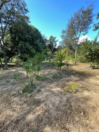 Imagem Chácara com 2 Quartos à Venda, 7.800 m² em Quintas Da Capela Nova - Itatiaiuçu Imagem Chácara com 2 Quartos à Venda, 7.800 m² em Quintas Da Capela Nova - Itatiaiuçu