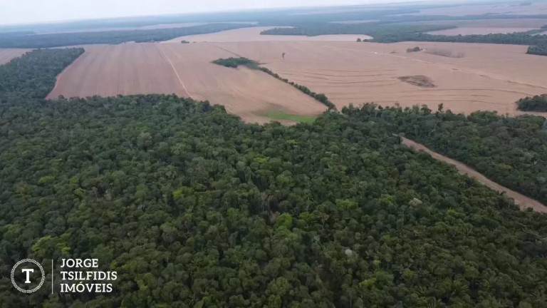 Imagem Fazenda à Venda, 95 m² em Zona Rural - Vera Imagem Fazenda à Venda, 95 m² em Zona Rural - Vera