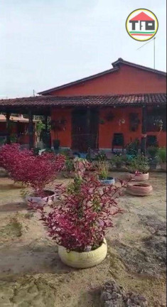 Imagem Fazenda à Venda, 4.259.200 m² em Zona Rural - Goianésia Do Pará Imagem Fazenda à Venda, 4.259.200 m² em Zona Rural - Goianésia Do Pará