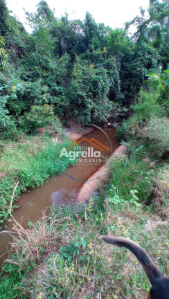 Imóvel com 3 Quartos à Venda, 25.000 m² em Jardim Primavera - Mogi Mirim