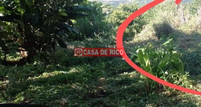 Imagem Imóvel à Venda, 60 m² em Cambezinho - Londrina Imagem Imóvel à Venda, 60 m² em Cambezinho - Londrina