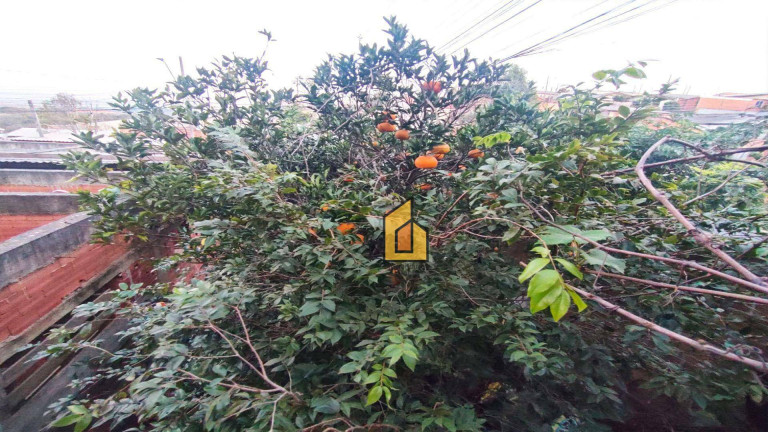 Imagem Casa com 2 Quartos à Venda, 96 m² em Campina Da Barra - Araucária