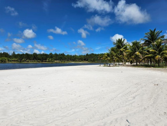Imagem Terreno à Venda, 1.800 m² em Mata De São João