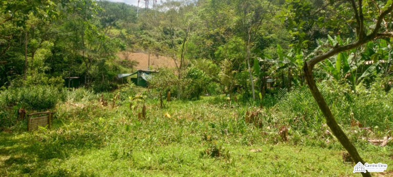 Imagem Terreno à Venda, 4.500 m² em Ubatumirim - Ubatuba