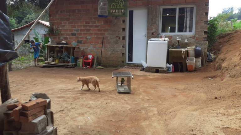 Imagem Casa com 2 Quartos à Venda, 500 m² em Moraes - Socorro Imagem Casa com 2 Quartos à Venda, 500 m² em Moraes - Socorro