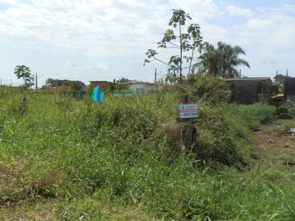 Imagem Terreno à Venda, 250 m² em Centro - Ilha Comprida Imagem Terreno à Venda, 250 m² em Centro - Ilha Comprida
