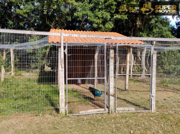 Imagem Imóvel com 5 Quartos à Venda, 4.140 m² em Centro - Capão Do Leão