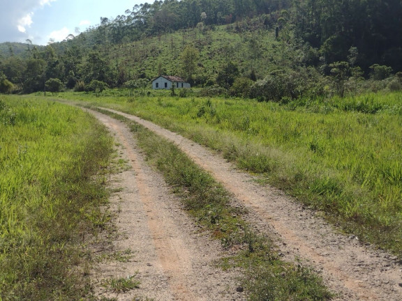 Imagem Fazenda à Venda, 100 m² em Centro - Guaratinguetá Imagem Fazenda à Venda, 100 m² em Centro - Guaratinguetá