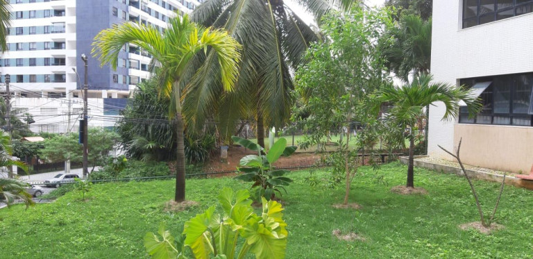 Imagem Apartamento com 3 Quartos à Venda, 143 m² em Pituba - Salvador Imagem Apartamento com 3 Quartos à Venda, 143 m² em Pituba - Salvador