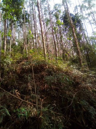 Imagem Terreno à Venda, 1 m² em Parque Santo Antônio - Jacareí Imagem Terreno à Venda, 1 m² em Parque Santo Antônio - Jacareí