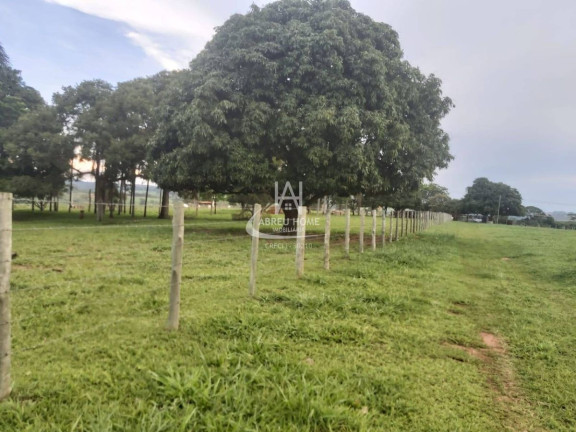 Imagem Fazenda à Venda, em Neves Paulista Imagem Fazenda à Venda, em Neves Paulista