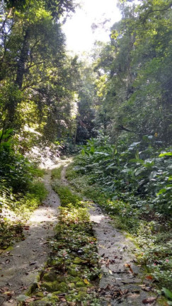 Imagem Terreno à Venda, 300.000 m² em Maresias - São Sebastião