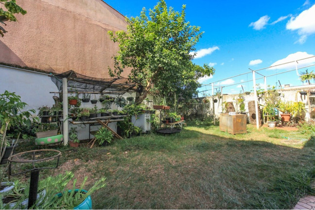 Imagem Casa com 5 Quartos à Venda, 254 m² em Três Figueiras - Porto Alegre Imagem Casa com 5 Quartos à Venda, 254 m² em Três Figueiras - Porto Alegre