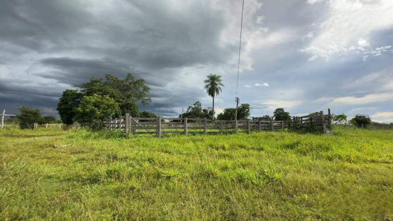 Imagem Fazenda à Venda, 1.000 m² em Cuiabá Imagem Fazenda à Venda, 1.000 m² em Cuiabá