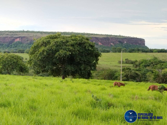 Imagem Fazenda à Venda, 187 m² em Zona Rural - Mineiros Imagem Fazenda à Venda, 187 m² em Zona Rural - Mineiros