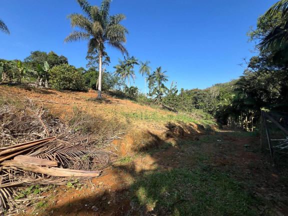 Imagem Chácara com 3 Quartos à Venda, 2.600.000 m² em Massaranduba Imagem Chácara com 3 Quartos à Venda, 2.600.000 m² em Massaranduba