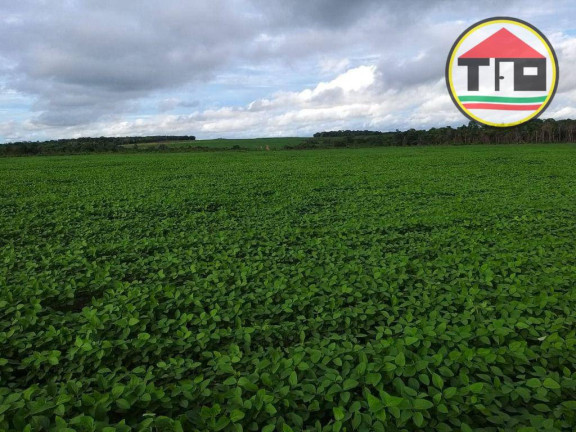 Imagem Fazenda à Venda, 21.780.000 m² em Zona Rural - Pau-d'arco Imagem Fazenda à Venda, 21.780.000 m² em Zona Rural - Pau-d'arco