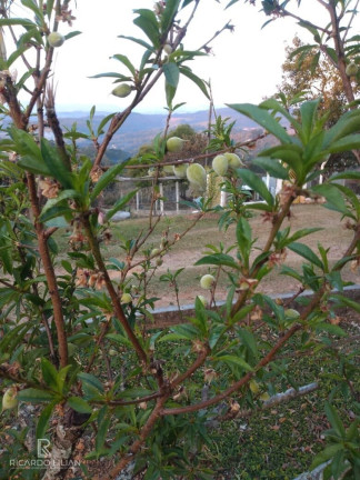 Imagem Imóvel com 3 Quartos à Venda, 24.000 m² em Rio Acima - Atibaia Imagem Imóvel com 3 Quartos à Venda, 24.000 m² em Rio Acima - Atibaia