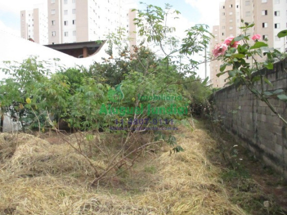 Imagem Terreno para Alugar ou Temporada, 310 m² em Cidade Nova - Jundiaí Imagem Terreno para Alugar ou Temporada, 310 m² em Cidade Nova - Jundiaí