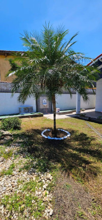 Imagem Casa com 3 Quartos à Venda, 134 m² em Jardim Bopiranga - Itanhaém Imagem Casa com 3 Quartos à Venda, 134 m² em Jardim Bopiranga - Itanhaém