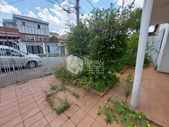 Imagem Terreno à Venda, 260 m² em Jardim Maria Estela - São Paulo Imagem Terreno à Venda, 260 m² em Jardim Maria Estela - São Paulo