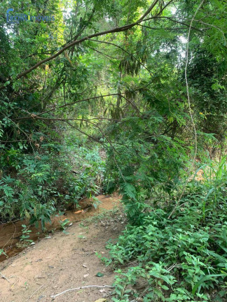 Imagem Chácara com 1 Quarto à Venda, 3.000 m² em Limeira Imagem Chácara com 1 Quarto à Venda, 3.000 m² em Limeira