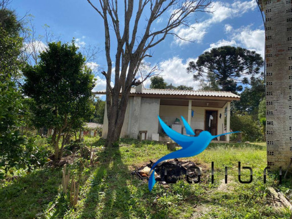 Imagem Chácara com 1 Quarto à Venda, 10.129 m² em Rio Da Várzea - Quitandinha Imagem Chácara com 1 Quarto à Venda, 10.129 m² em Rio Da Várzea - Quitandinha