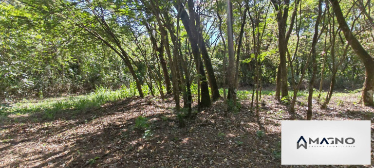 Imagem Chácara à Venda, 20 m² em Coqueiral - Cascavel