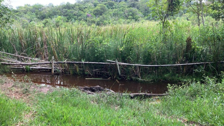 Imagem Imóvel à Venda, 60.500 m² em área Rural De Fernão - Fernão Imagem Imóvel à Venda, 60.500 m² em área Rural De Fernão - Fernão