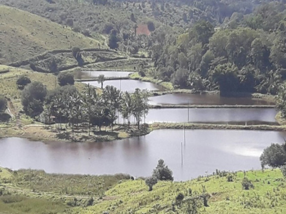 Imagem Imóvel à Venda, em área Rural - Ipiaú Imagem Imóvel à Venda, em área Rural - Ipiaú