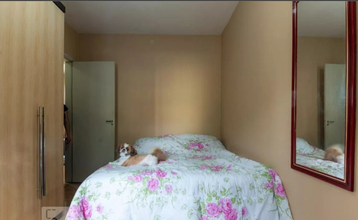 Imagem Apartamento com 2 Quartos à Venda, 61 m² em Vila Mussoline - São Bernardo Do Campo Imagem Apartamento com 2 Quartos à Venda, 61 m² em Vila Mussoline - São Bernardo Do Campo