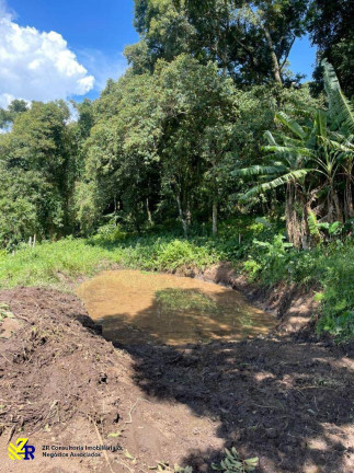 Imagem Chácara à Venda, 41 m² em Pitangueiras - Pedra Bela Imagem Chácara à Venda, 41 m² em Pitangueiras - Pedra Bela