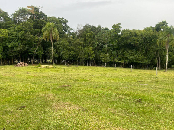Imagem Chácara com 2 Quartos à Venda, 32.000 m² em Fazenda Fialho - Taquara Imagem Chácara com 2 Quartos à Venda, 32.000 m² em Fazenda Fialho - Taquara
