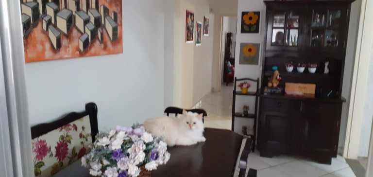 Imagem Casa com 2 Quartos à Venda, 224 m² em Taboão - Diadema Imagem Casa com 2 Quartos à Venda, 224 m² em Taboão - Diadema