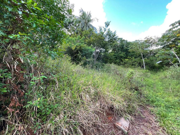 Imagem Terreno à Venda, 245 m² em Malícia (abrantes) - Camaçari