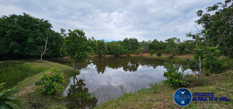 Imagem Fazenda à Venda, 37 m² em Zona Rural - Jussara Imagem Fazenda à Venda, 37 m² em Zona Rural - Jussara