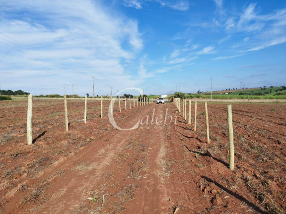 Imagem Chácara à Venda, 2 m² em área Rural De Engenheiro Coelho - Engenheiro Coelho Imagem Chácara à Venda, 2 m² em área Rural De Engenheiro Coelho - Engenheiro Coelho